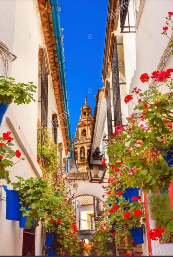 Centro-Mezquita 4 A 8 Huespedes Leilighet Córdoba Eksteriør bilde